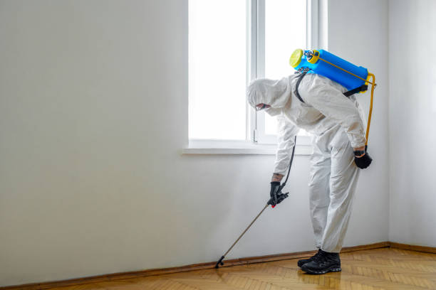 Real Estate Pest Inspections in West Carthage, NY